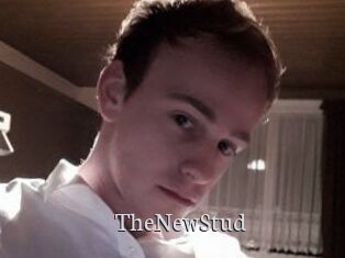TheNewStud