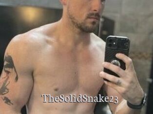 TheSolidSnake23