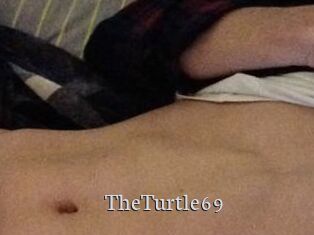 TheTurtle69