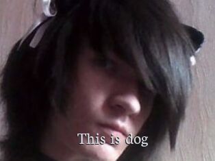 This_is_dog
