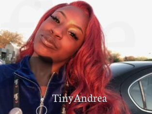TinyAndrea