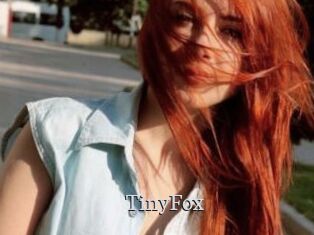 TinyFox