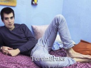 TorvinBruks
