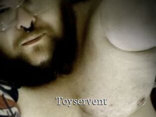 Toyservent