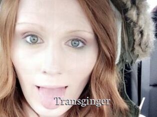Transginger