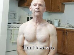 Tumbleweed13 Free Host Empire