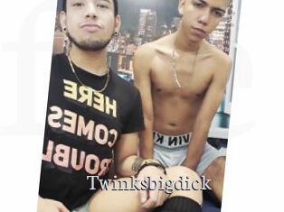 Twinksbigdick