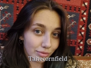 Taitecornfield