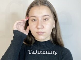 Taitfenning