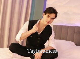 Tayloramess