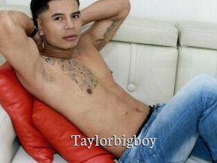Taylorbigboy