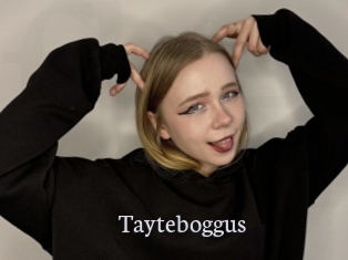 Tayteboggus
