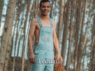 Teddhill