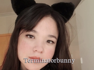 Terminatorbunny
