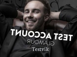 Testvik