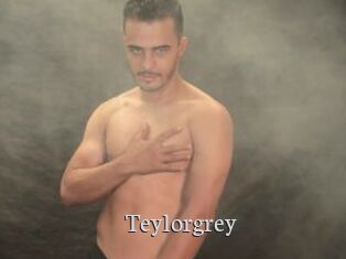 Teylorgrey