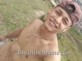 The_little_bruette_228