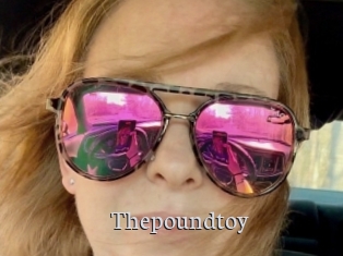 Thepoundtoy