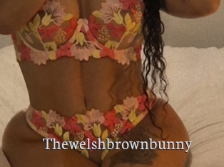 Thewelshbrownbunny