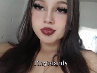 Tinybrandy