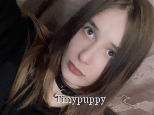 Tinypuppy