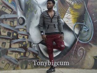 Tonybigcum