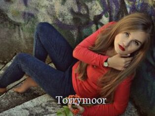 Torrymoor
