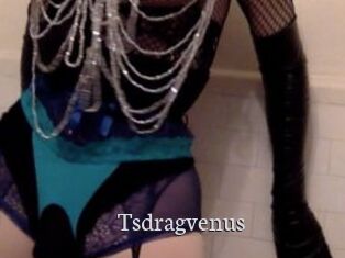 tsdragvenus Free Host Empire