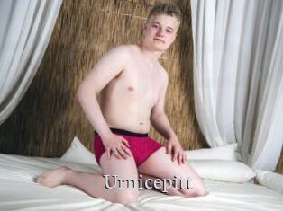 Urnicepitt