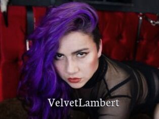 VelvetLambert