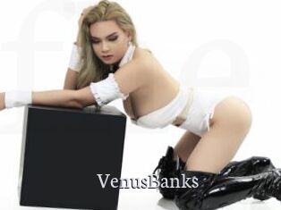 VenusBanks