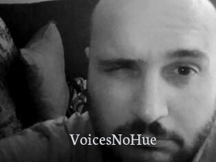 VoicesNoHue