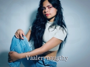 Vaalerynaugthy