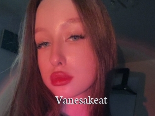 Vanesakeat