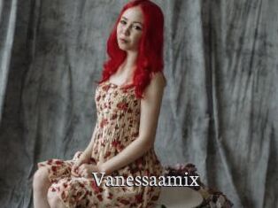 Vanessaamix