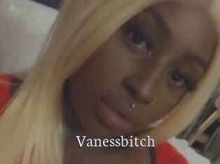 Vanessbitch