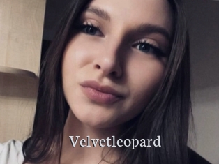 Velvetleopard
