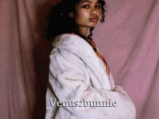 Venus2bunnie