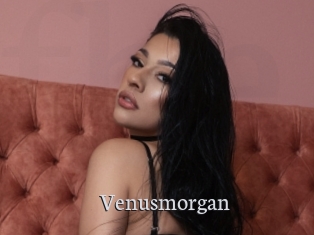 Venusmorgan