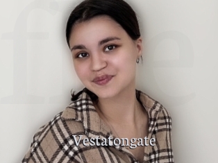 Vestatongate
