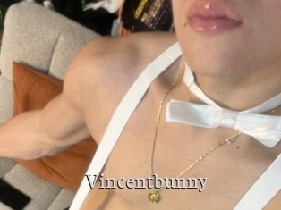 Vincentbunny