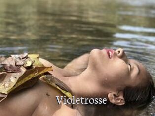 Violetrosse