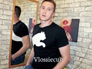 vlossiecub Free Host Empire