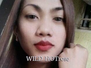 WILD_HOTrose
