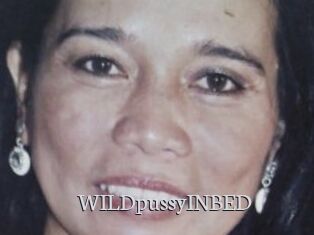 WILDpussyINBED