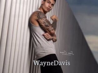 WayneDavis