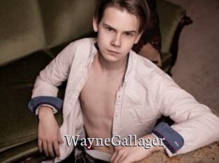 WayneGallager