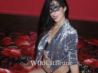 WildCatBrune