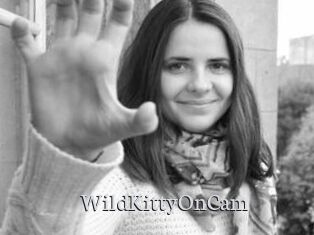 WildKittyOnCam