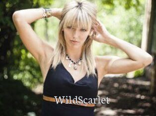 WildScarlet